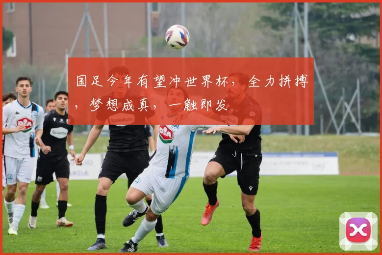 国足今年有望冲世界杯，全力拼搏，梦想成真，一触即发