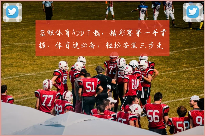 蓝鲸体育App下载，精彩赛事一手掌握，体育迷必备，轻松安装三步走，赶快下载吧