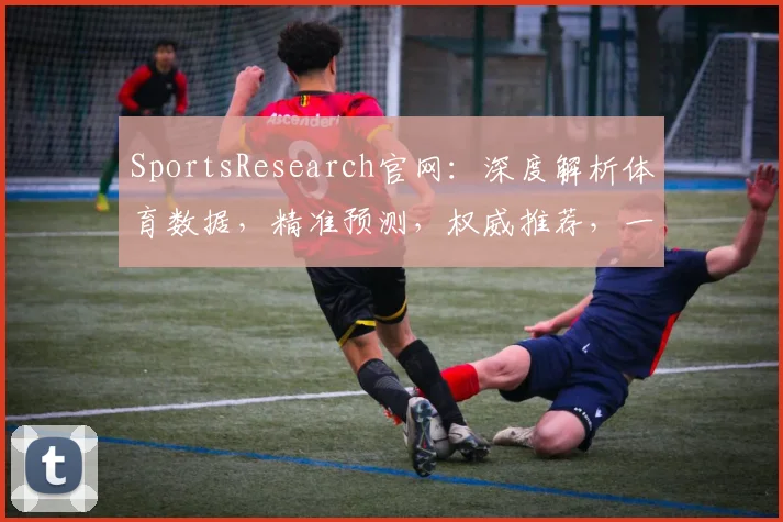 SportsResearch官网：深度解析体育数据，精准预测，权威推荐，一站式服务体验