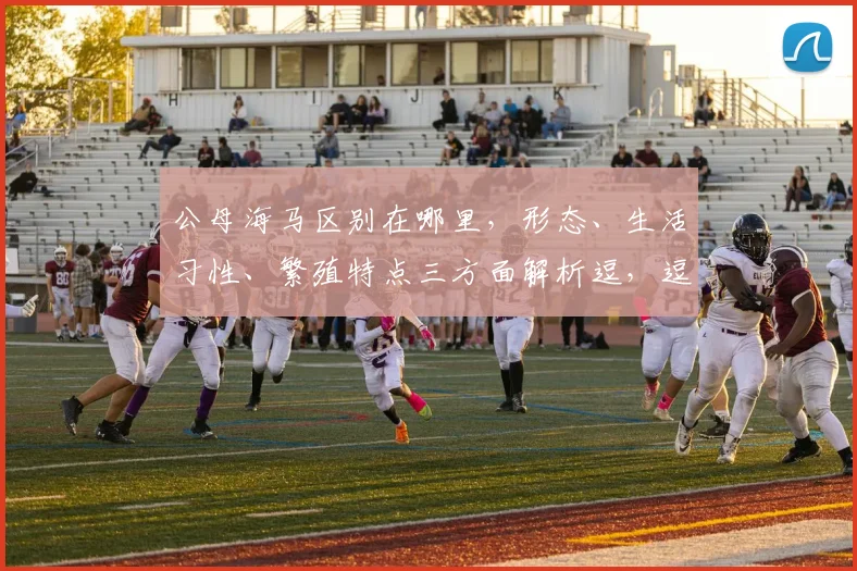 公母海马区别在哪里，形态、生活习性、繁殖特点三方面解析逗，逗，逗